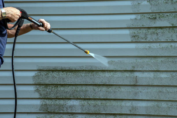 Best Roof Washing  in Mount Ivy, NY
